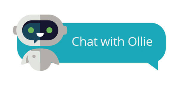 Image of Ollie Chat Bot